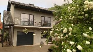 Guesthouse U dida Viktora - Huta