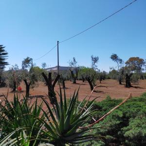 Casa Miclari