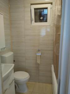 Garsoniera in centru