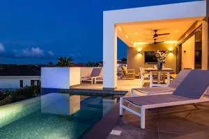 Ocean Sunset Villa luxury stay max. 14 people - Dorp Sint Michiel