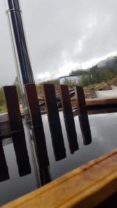 CABAÑAS LODGE LOS COIHUES 2 VALLE LAS TRANCASTERMAS DE CHILLAN NEVADOS DE CHILLAN