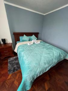 Hermoso y cómodo loft con vista a los nevados