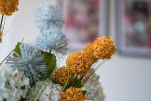 Elegant 1 bed apartment- Hampstead Village