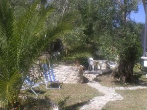 Azienda Agricola B&B Macchiaria