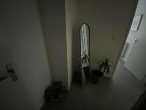 Appartements Appartement pour 2-3 personnes : photos des chambres