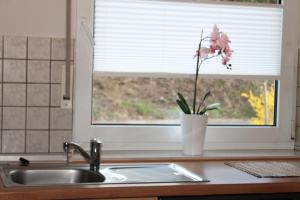 Haus Flora - Ferienwohnungen