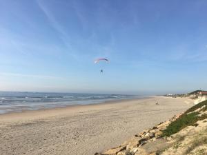 Sea and Pinewood Ofir Apartment