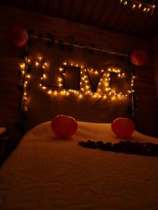 Glamping entre bosques