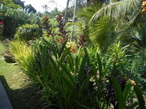 Cegeng Lestari Guesthouse