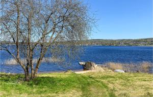 3 Bedroom Stunning Home In Fristad