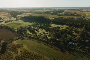 CANVS by CABN Seppeltsfield Barossa