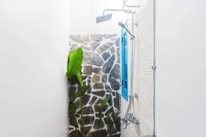 Cashew Tree Bungalow