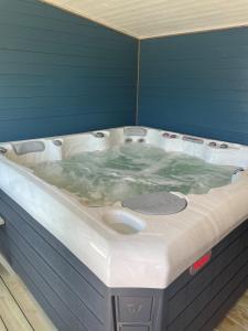 Trzy Rybki - Belona dom z basenem i jacuzzi