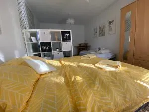 Apartment city centrum - Šarlužky-Kajsa