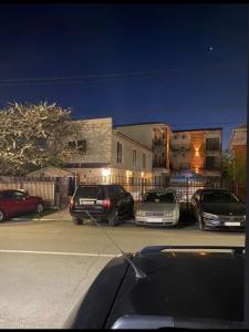 Casa Tudor Costinesti