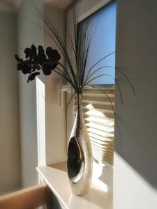 Gemütliche Ferienwohnung Oase 22