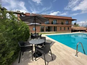 Giorgi Ushikishvilis Chateau-Marani - 卡兹贝吉