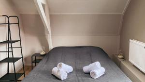 Cozy home St. Philipsland with 2 bathr. business