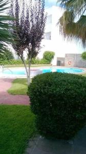 APARTAMENTO ECHANDO ANCLAS