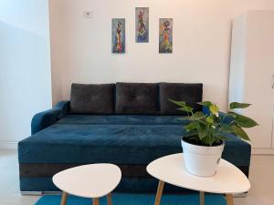 Central Metropolitan Bright 1