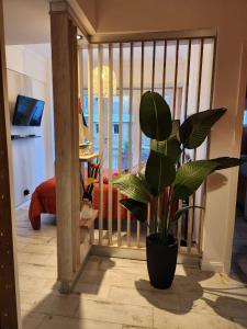 Departamento Centro Mar del Plata