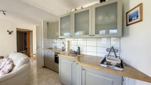Grand Cerf 67 appartement Saint Jean D Aulps