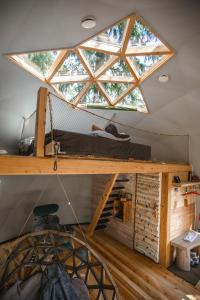 Treehouse dome