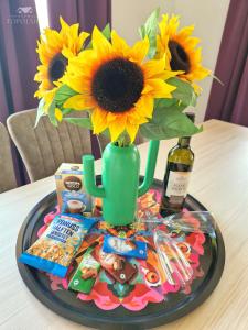 Apartment HORTENZIJA near Terme Topolšica