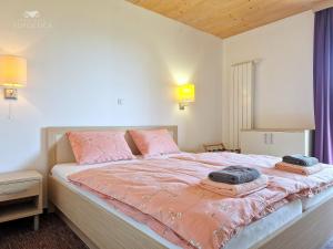 Apartment HORTENZIJA near Terme Topolšica