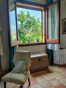 La finestra sul limone