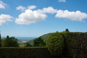Pace e Relax, Wonderful Villa, Versilia sea view