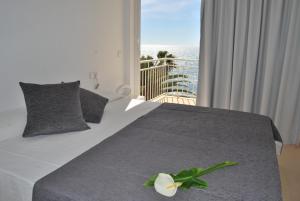 Apartment (4 Adults) - Ibiza room in Apartamentos Alborada