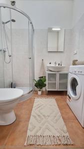 Finnem Rentals Sokolovská