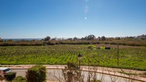 Los Hidalgos Golf 6D2