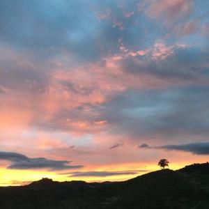 Quinta do Enxertado