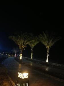 شاليه بقرية لازوردي باى