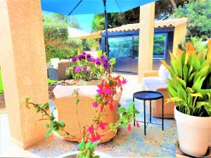 Appartements La Bastide en front d'etang de Thau : photos des chambres