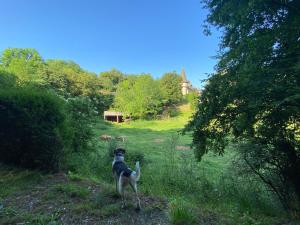 Maisons de vacances Gite Wildflower Lane : photos des chambres