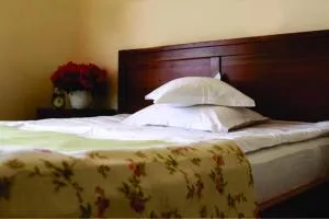 Vila Toparceanu - Therme & Airport Otopeni - Odăile