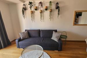 Appartements Le Grand Rue : photos des chambres