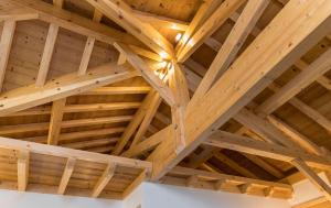 Chalets Home des Bois : photos des chambres