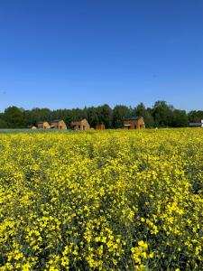 Domek na Roztoczu Sauna & Jacuzzi