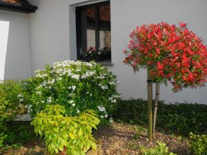 Maisons de vacances Colline de widehem : photos des chambres