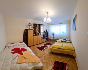 Apartament Slănic Prahova