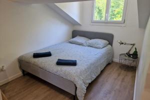 Appartements Le petit Strasbourg- Studio renove-3pers-Caluire : photos des chambres