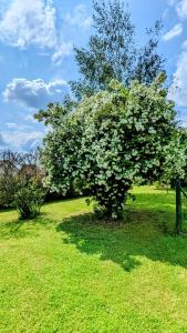 Maisons de vacances Le Clos des ecureuils : photos des chambres