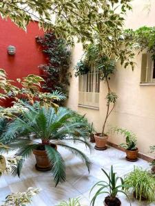 Acogedor y tranquilo cerca de las setas - centro