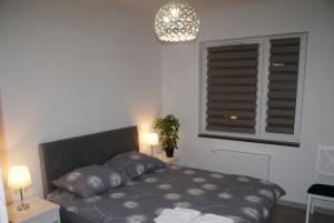 Apartament Termalny na Długiej 6