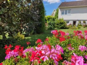 Appartements GITE DES PETITS COEURS : photos des chambres