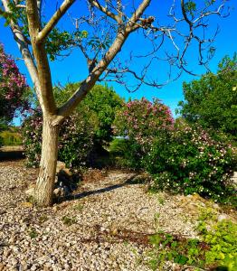 Hotel Velasole img17